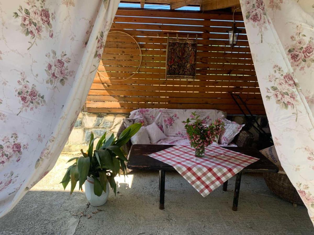 Triglav Edelweiss Guest House Pavel Banya Bagian luar foto